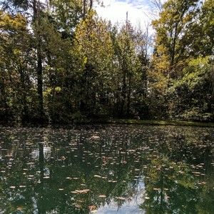 Meet your Posher, Karli